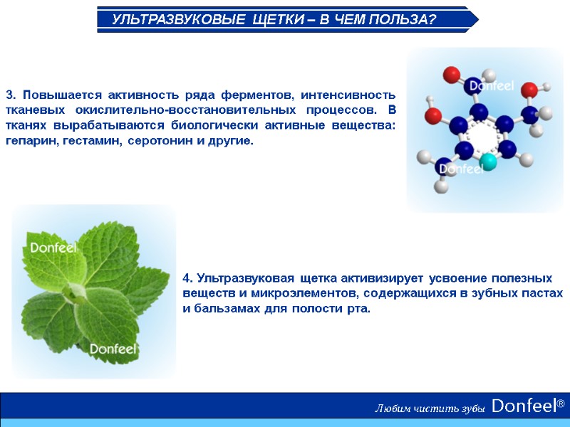 Любим чистить зубы  Donfeel® 3. Повышается активность ряда ферментов, интенсивность тканевых окислительно-восстановительных процессов.